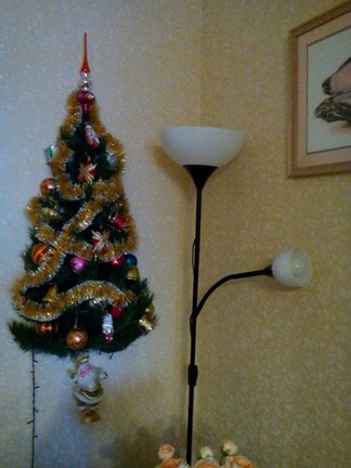 Наши ёлки №160796