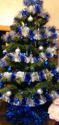 Наши ёлки №160829