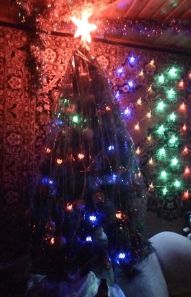 Наши ёлки №160845