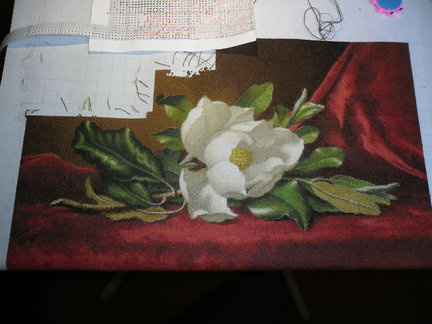 Магнолии на красном №161286