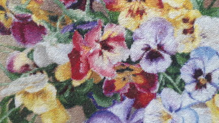 Анютины глазки №162030