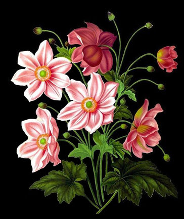 В помощь тем, кто делает схемы. Убираем надписи с картинок. №162147