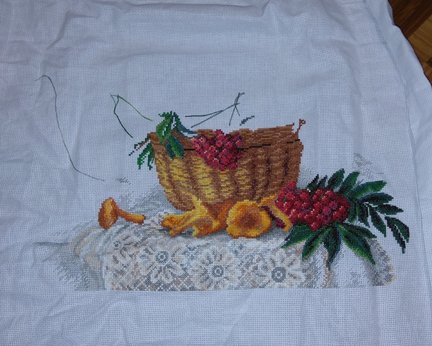 Гора, свободный полет, рябина, лисички, пахнет лесом №162416