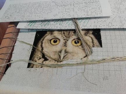 Совушки №162498