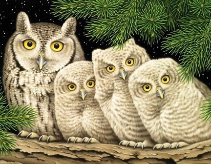 Совушки №162513