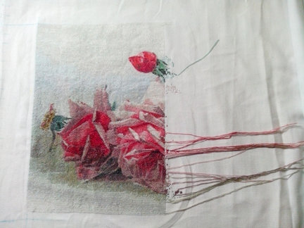 Мои «Французские розы» №162775