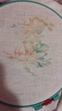 Пионы №163301