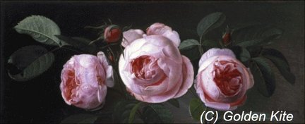 ГК  1677 «Rosenstilleben» №163703