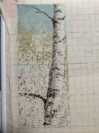 Березовая роща №163892