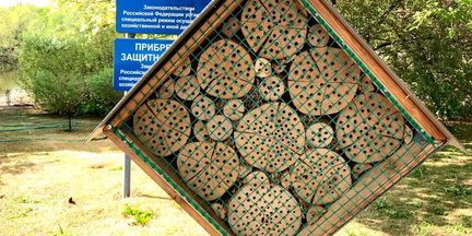 Как зимует московский зоопарк №164184