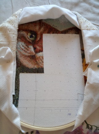 Мой рыжий кот №164274