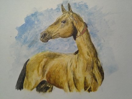 Для любителей лошадей №164723