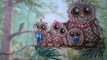 Одна для всех №164961