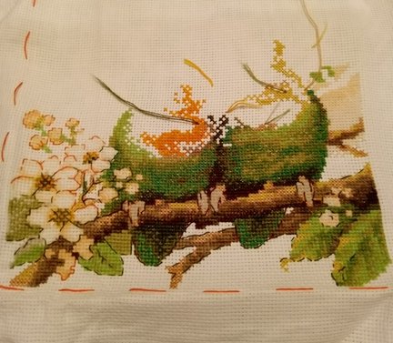 Птички неразлучники №165719