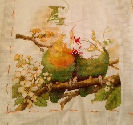 Птички неразлучники №166006