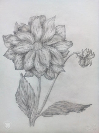 Мое хобби (рисование)... №166148