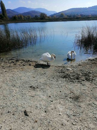 Вышивка - Моя Прелесть №167510