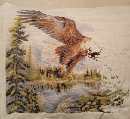 Гора, свободный полет, рябина, лисички, пахнет лесом №167669