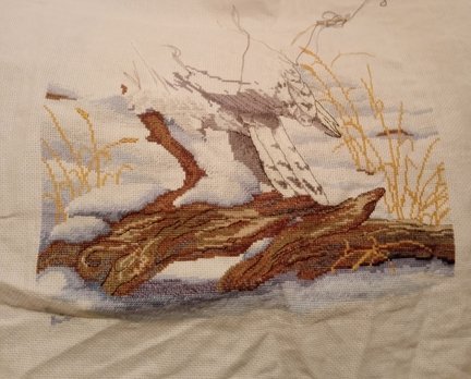 Величественная сова №167670