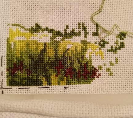 Дубовая роща №167764