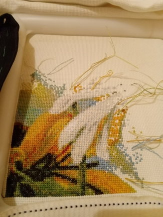 Сельское утро и божьи коровки №167872