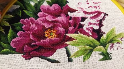 Пионы №168055