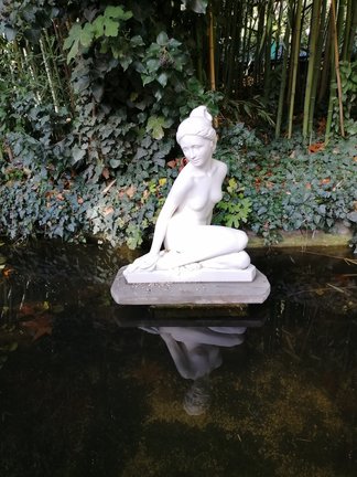 Никитский ботанический сад №168166