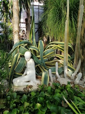 Никитский ботанический сад №168185