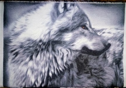 Взгляд волчицы от Химеры №168556