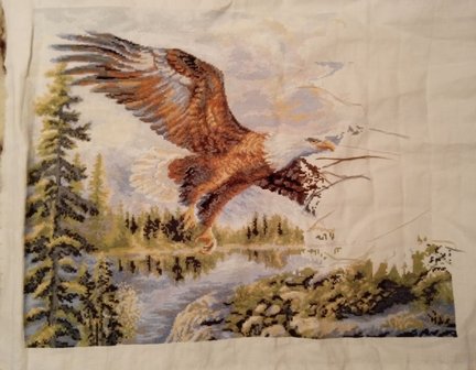 Гора, свободный полет, рябина, лисички, пахнет лесом №168617