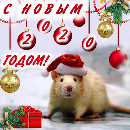 С праздником №168654