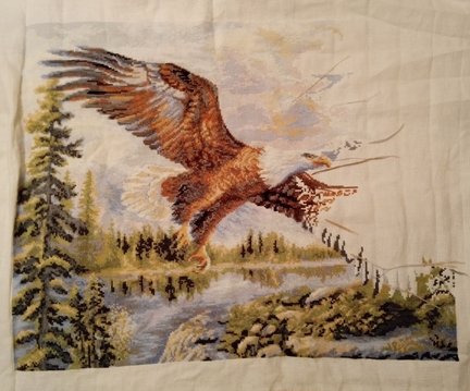 Гора, свободный полет, рябина, лисички, пахнет лесом №168719