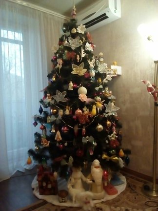 Творчество наших родных и близких №169055