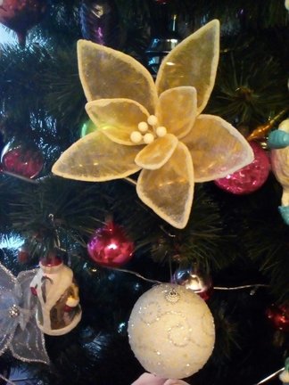 Творчество наших родных и близких №169062