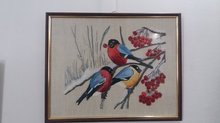 Выставка №170207