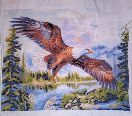 Гора, свободный полет, рябина, лисички, пахнет лесом №170292