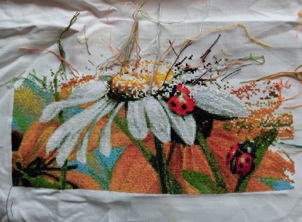 Сельское утро и божьи коровки №171540