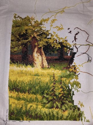 Дубовая роща №171675