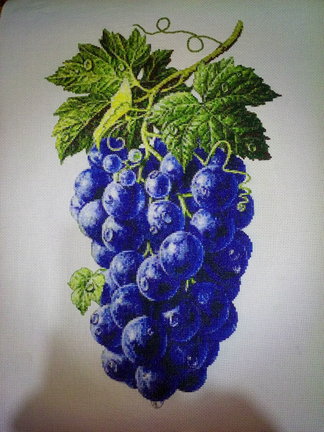 Фруктовое трио №171924