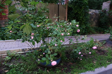 Наши дворики, улицы, любимые места - там, где мы живём ))) №172105