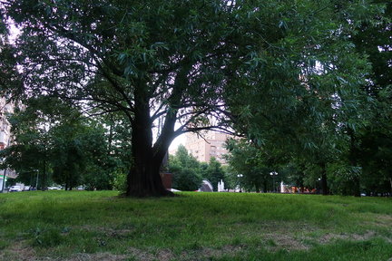 Наши дворики, улицы, любимые места - там, где мы живём ))) №172157