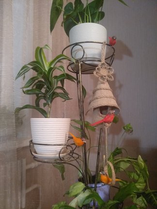 Биондина. Мой первый отшив Эстэ. №173981