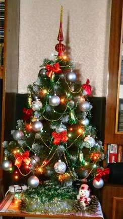 Наши ёлки №174224