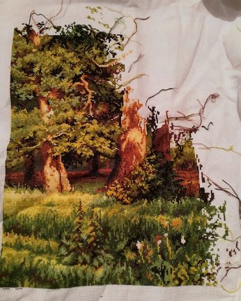 Дубовая роща №174231