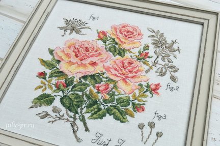 Серия розы «Jast Joey» №174873