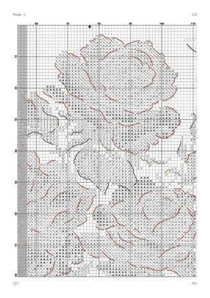 Серия розы «Jast Joey» №174886