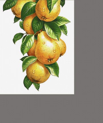 Груши №176038