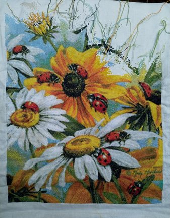 Сельское утро и божьи коровки №176136