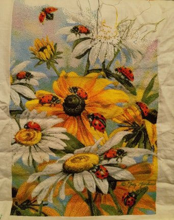 Сельское утро и божьи коровки №176724