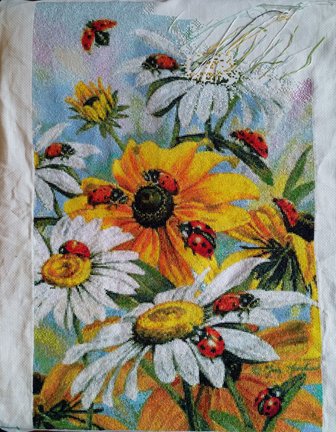 Сельское утро и божьи коровки №176783